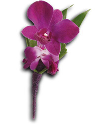Orchid Boutonniere Flower Power, Florist Davenport FL